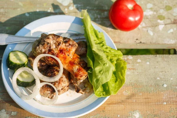 taze sebze ile ızgara tavuk budu. Bahçe piknik. Yeşil zemin üzerine.