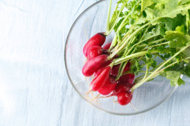 Genç turp ile üstleri beyaz baclground üzerinde cam kapta taze hasat