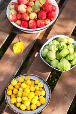 Ev meyve ve çilek taze hasat. Elma, Erik, physalis. Yeşil bir arka plan üzerinde ahşap bir masa tabaklarda. Güneşli bir günde