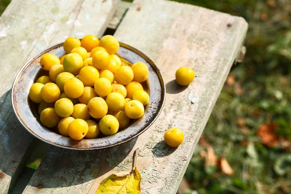 Ev yapımı Sarı Erik taze hasat. Ahşap bir masa bir eski metal plaka içinde. Yeşil arka plan üzerinde
