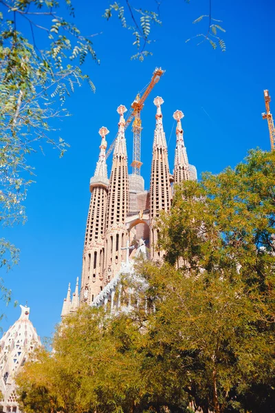 Barcelona. Sagrada Familia güneşli bir günde