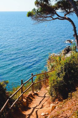 patika Akdeniz sahilinde dağlarda