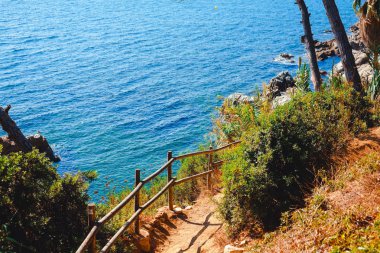 patika Akdeniz sahilinde dağlarda. Yatay