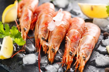 kerevitleri veya karides baharatlar, limon ve otlar siyah bir arka plan ile. Portre