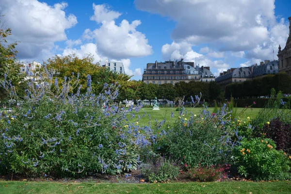 El Jardín de las Tullerías. Otoño. Flores. Vegetación. París. — Foto de Stock
