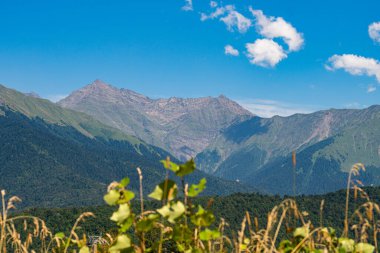 Dağ manzarası. Mavi gökyüzüne karşı yeşil dağlar.