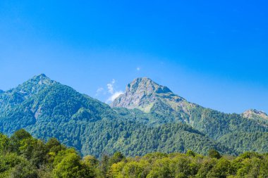 Dağ manzarası. Mavi gökyüzüne karşı yeşil dağlar. Soçi.