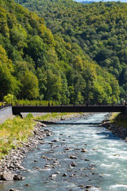 Dağ nehri ve köprü. Dikey