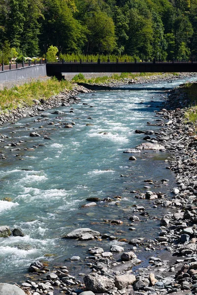 Dağ nehri ve köprü. Dikey
