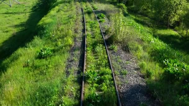 Vías Férreas Vista Aérea Ferrocarril Entre Árboles Verdes Hierba Una — Vídeos de Stock