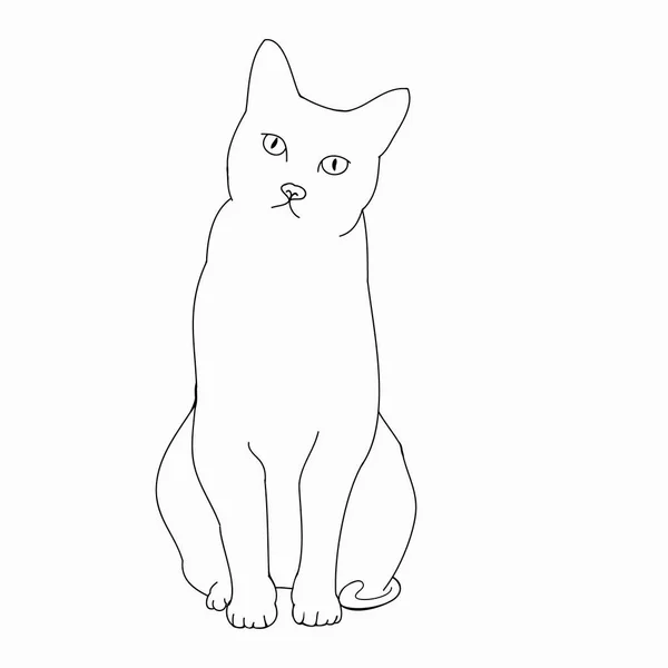 Katzenumriss Auf Weißem Hintergrundvektor — Stockvektor