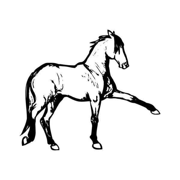 Grafický Obrázek Koně Bílém Pozadí Vektorové Ilustrace — Stockový vektor
