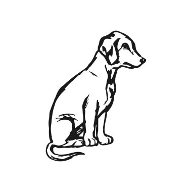 Bir köpeğin üstüne beyaz bir arka plan, vektör çizim grafik görüntü