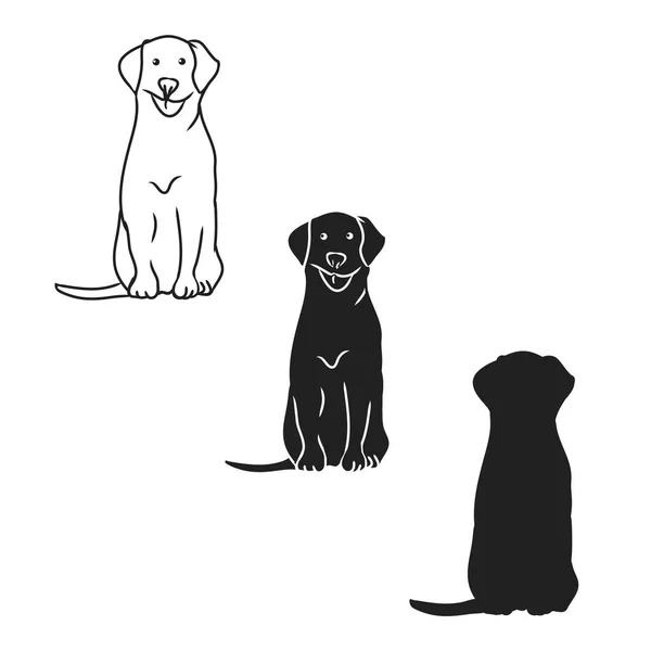 Grafický Obrázek Psa Bílém Pozadí Vektorové Ilustrace — Stockový vektor