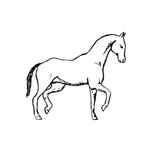Häst Vit Bakgrund Vektor Med Minimalism Stil — Stock vektor