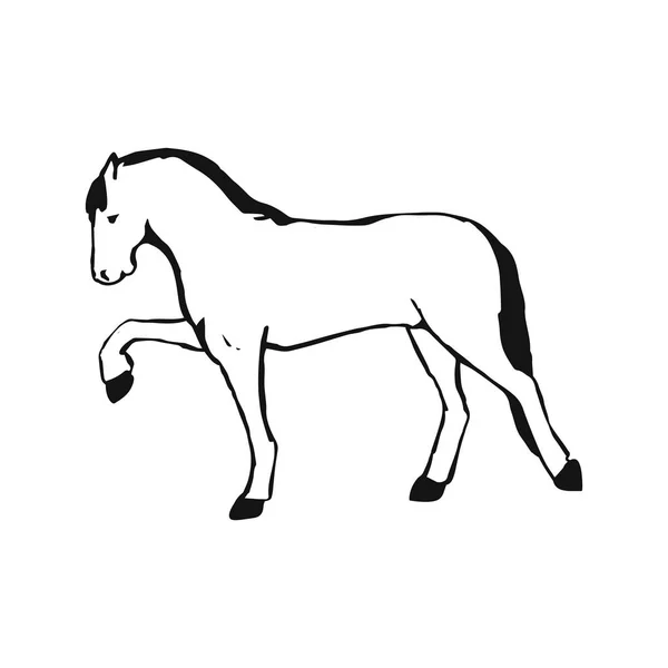白い背景に ミニマリズムのスタイルを持つベクターの馬 — ストックベクタ