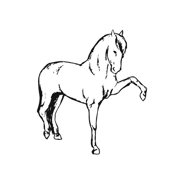 Häst Vit Bakgrund Vektor Med Minimalism Stil — Stock vektor