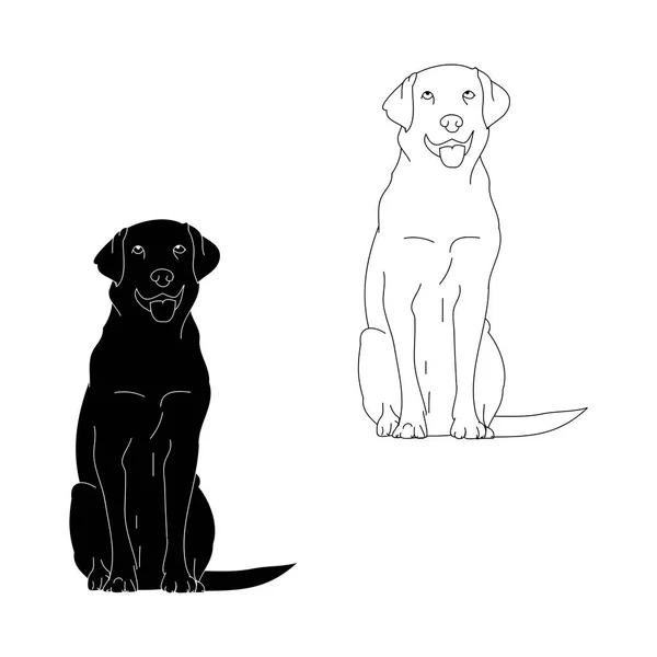 Bir Köpeğin Üstüne Beyaz Bir Arka Plan Vektör Çizim Grafik — Stok Vektör