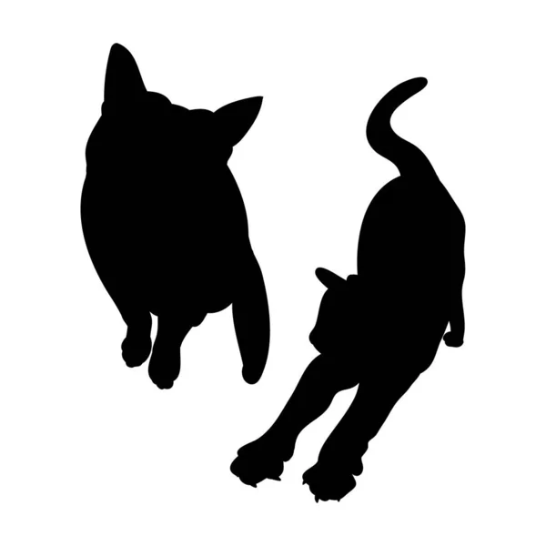 Zwart kattensilhouet op witte achtergrond — Stockvector