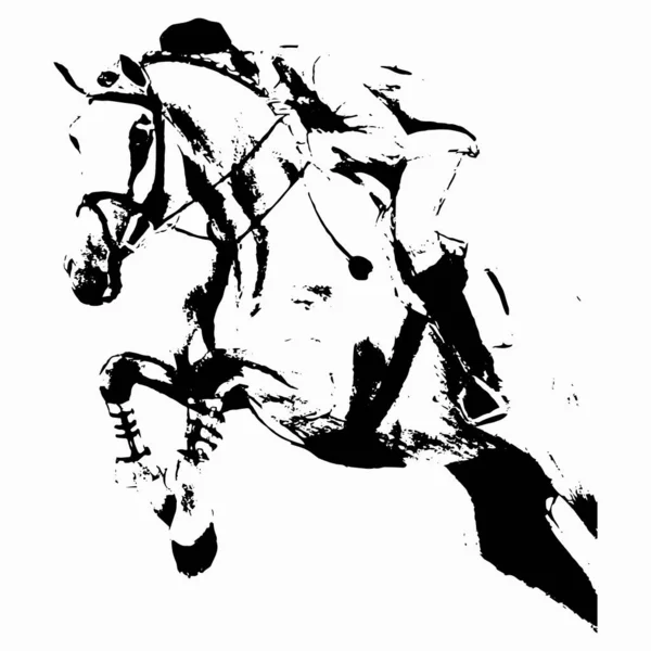 Jezdec na koni skáče — Stock fotografie