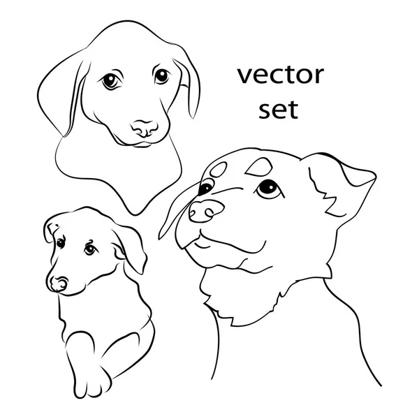 Голова щенка, набор контуров — стоковый вектор