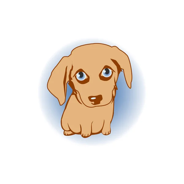 A little puppy with big eyes. — Stock Vector