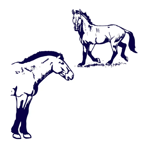 Przewalski paard patroon blauw handvat — Stockfoto
