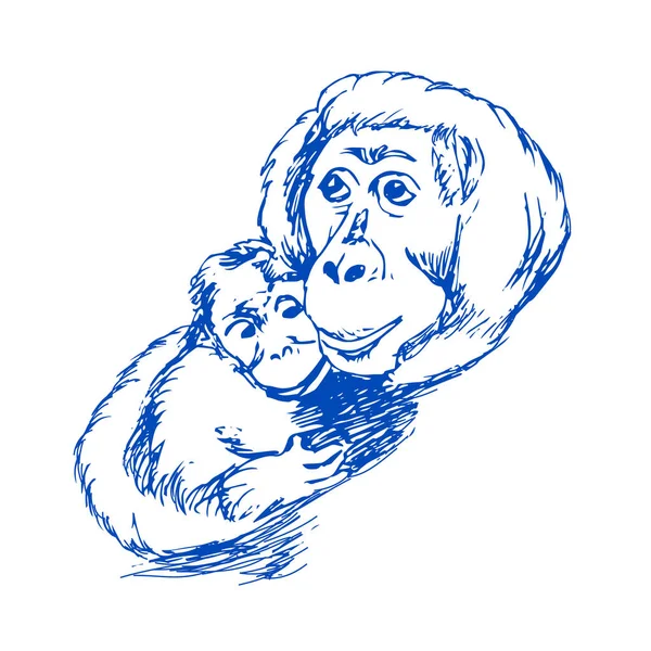 Monkey with cub drawing on white background