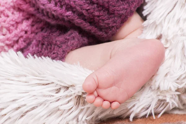 Two Week Year Old Newborn Legs — Stock Photo, Image