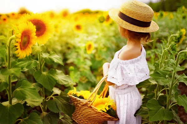 Bambina vestita di bianco, un cappello di paglia con un cesto pieno di girasoli in un campo — Foto Stock
