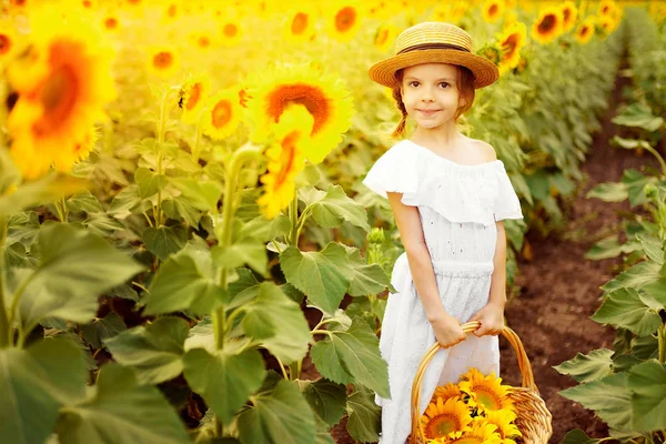 Маленька дівчинка в білій сукні, солом'яний капелюх з кошиком, повним соняшників, посміхається в камеру в полі соняшників — стокове фото