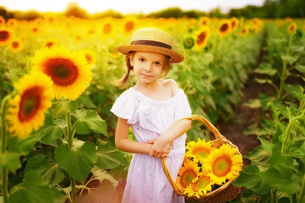 Niña con un vestido blanco, un sombrero de paja con una cesta llena de girasoles sonriendo a la cámara en un campo de girasoles — Foto de Stock