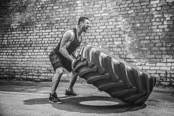 Muscular fitness shirtless homem em movimento pneu grande . — Fotografia de Stock