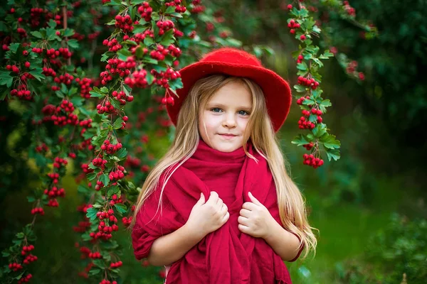 Young beautiful little stylish girl in a sunny autumn park — Stock Photo, Image