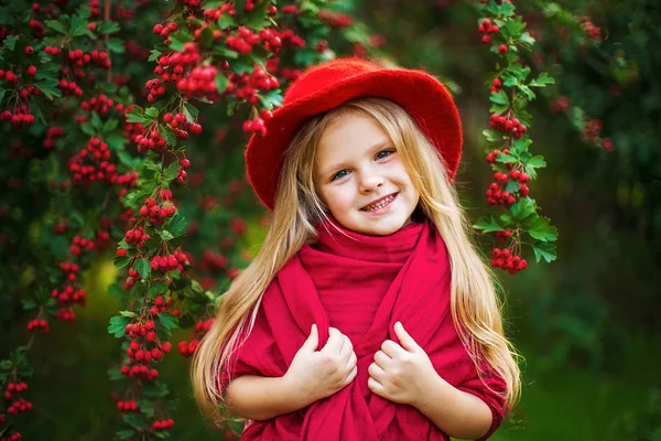 Fiatal gyönyörű kis elegáns lány egy napos őszi parkban — Stock Fotó