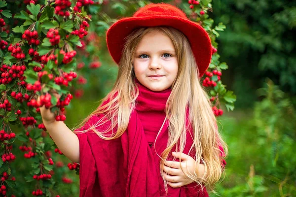 Mladá krásná malá stylová dívka v slunném podzimním parku — Stock fotografie