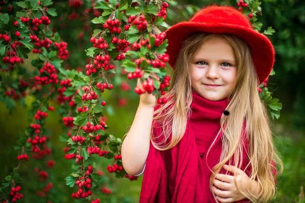 Mladá krásná malá stylová dívka v slunném podzimním parku — Stock fotografie