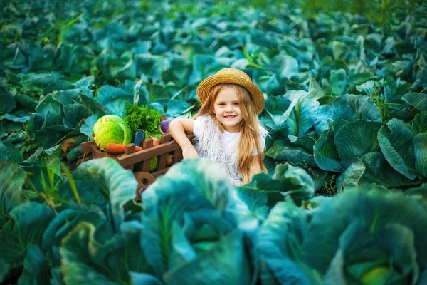 Menina feliz em chapéu de palha no campo de repolho com cesta de legumes — Fotografia de Stock