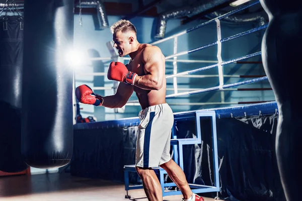 Male boxer training with punching bag in dark sports hall.