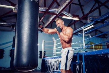 Koyu renk spor salonunda boksör eğitimi..