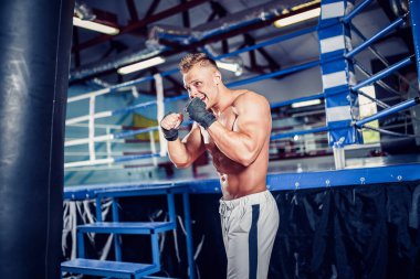 Koyu renk spor salonunda boksör eğitimi..