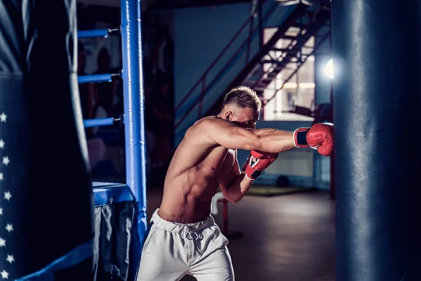 Mužský boxer trénink s boxovací taškou v tmavé sportovní hale. — Stock fotografie