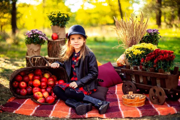 Niño sonriente con cesta de manzanas rojas sentado en el parque de otoño — Foto de Stock