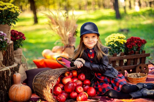 Criança sorridente com cesta de maçãs vermelhas sentadas no parque de outono — Fotografia de Stock