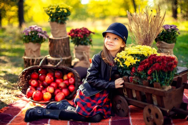 Bambino sorridente con cesto di mele rosse seduto nel parco autunnale — Foto Stock