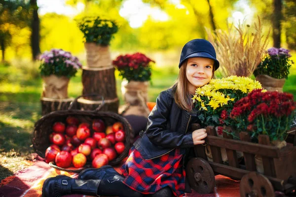 Glimlachend kind met mandje met rode appels zitten in herfst park — Stockfoto