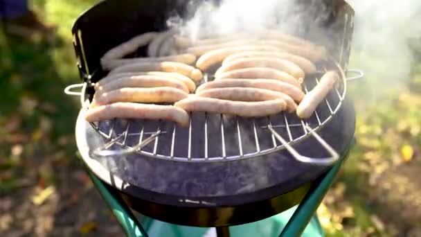 Grillezett kolbász a piknik lángoló grillsütőn — Stock videók