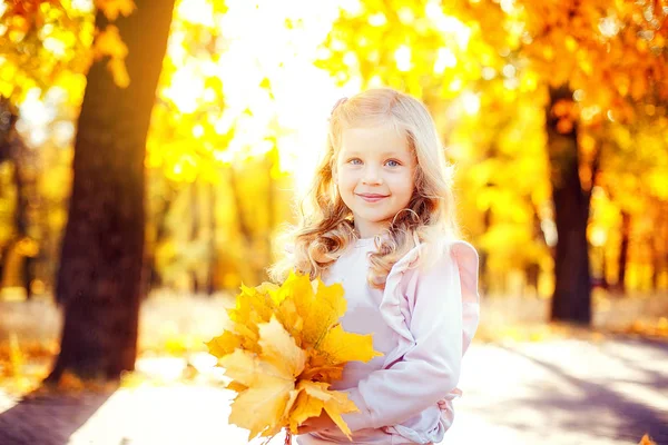 Sonbahar yaprakları ile oynarken sevimli küçük kız — Stok fotoğraf