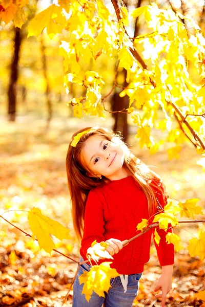 Urocza dziewczynka gra z liści jesienią — Zdjęcie stockowe