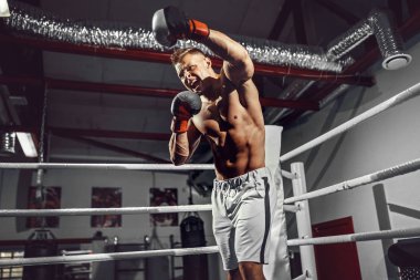 Boksör. Boks ringinde kendinden emin genç bir boksör.